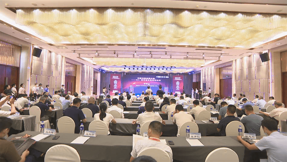 椭圆时空亮相卫星应用大会 分享通导遥一体化卫星建设实践与应用