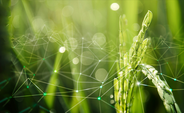 智慧农业信息化平台 智慧农业信息化平台